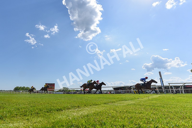120525-Race 4-Tees Aggregates-1732 - Race 4