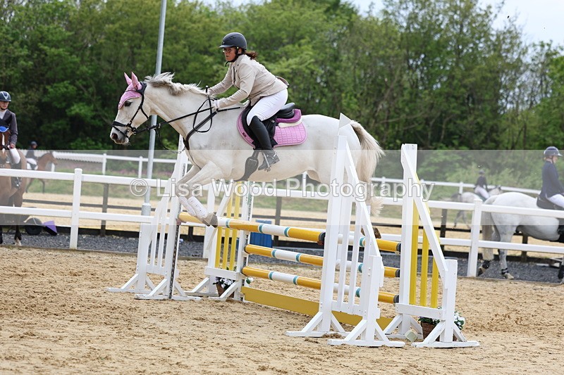 3E7A6293 - Class 4: Senior British Novice/90cm open