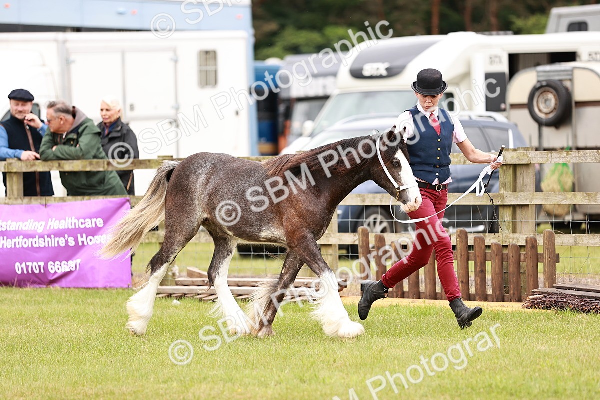 SBM_04550 - Class 5-8 - BSPA In hand