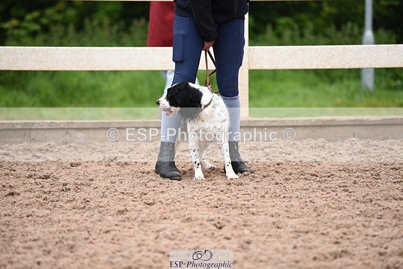 240518A-124840-01210 - Cls 5 Best Purebred