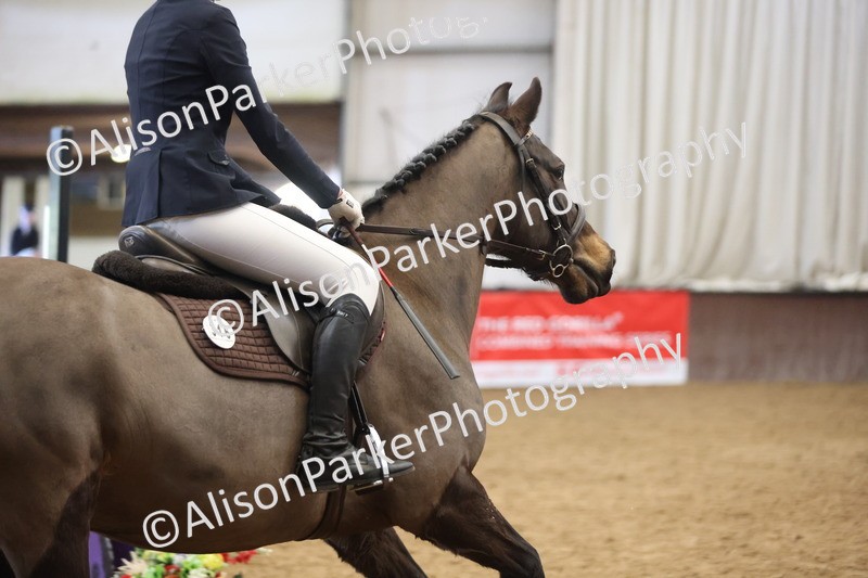 20260314-5737 - 80cm