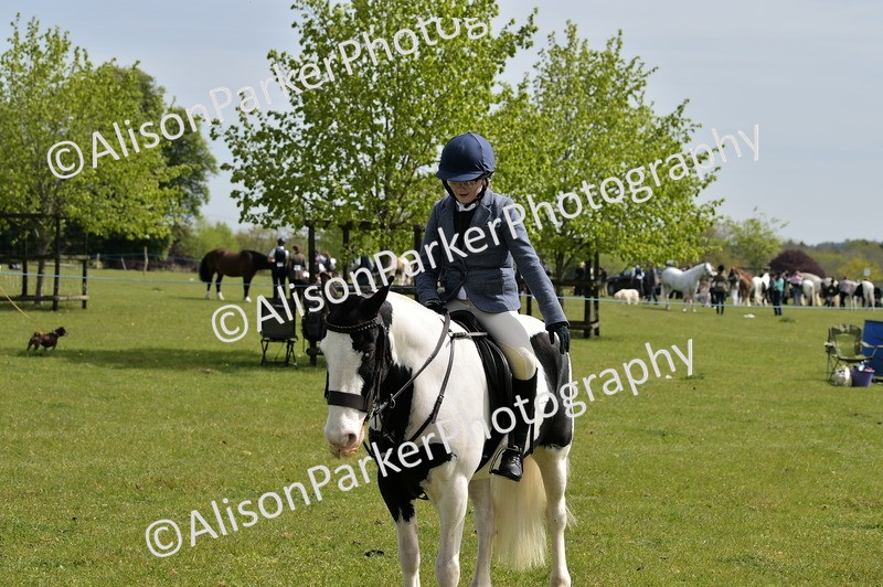 20260426-2329 - Class 20 - Beginner Working Hunter