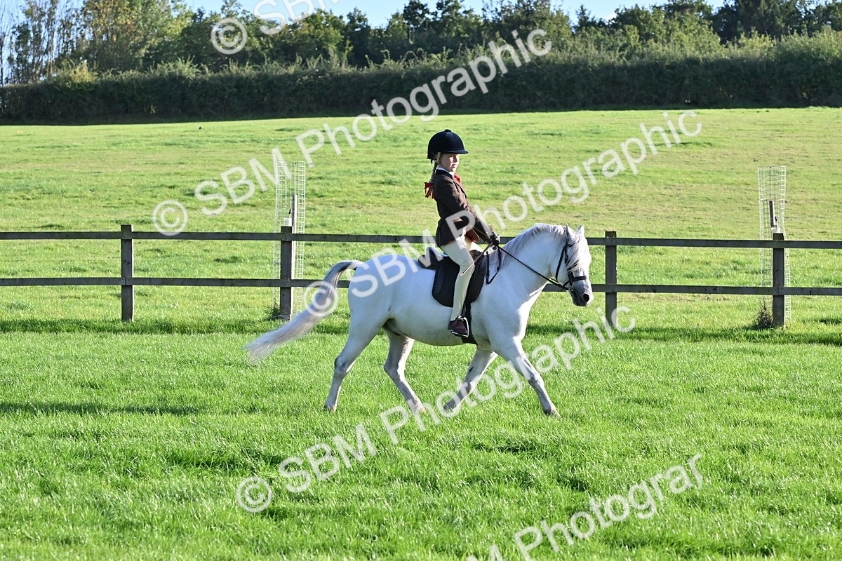 SBM_53093 - S23 - First Ridden Mountain & Moorland Pony