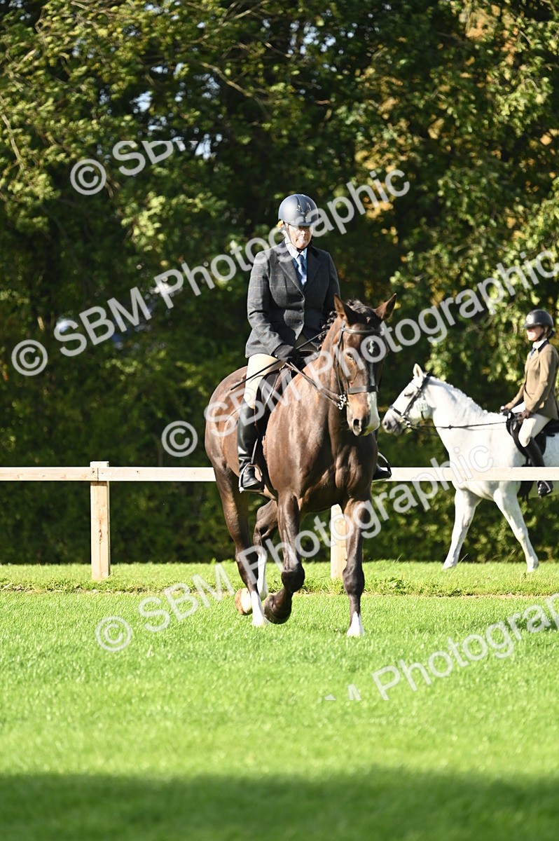 SBM_26426 - S6 - Novice & newcomer Ridden horse