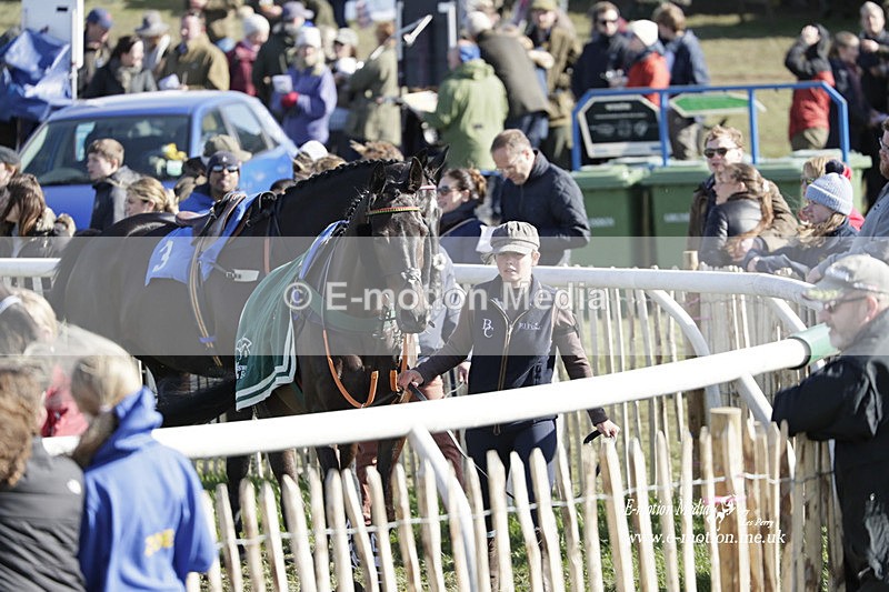 PtP 100423 967 - Old Berkshire Point-to-Point Lockinge 10/04/23