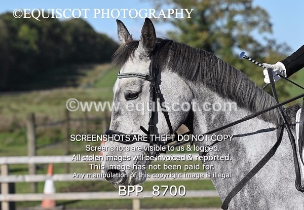 BPP_8700 - SHORT ARENA