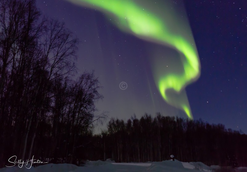 Aurora Fairbanks 8