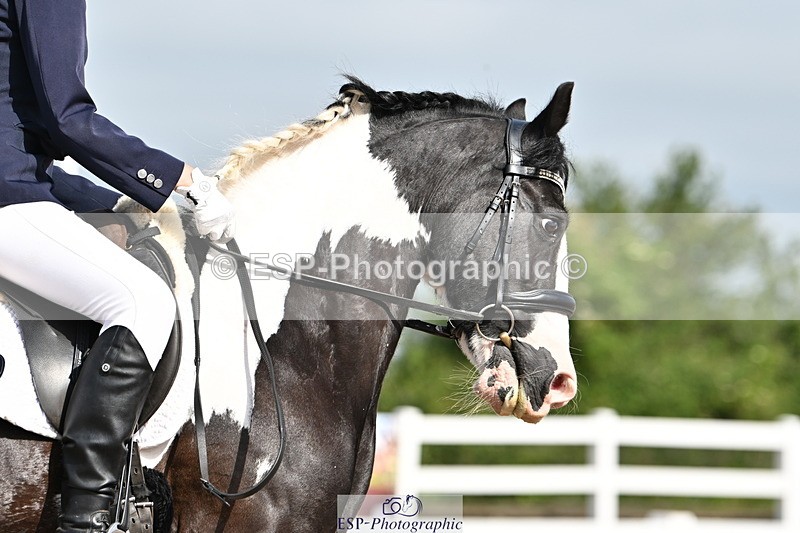 240623A-093914-15779 - Cls 44 BD Prelim 15