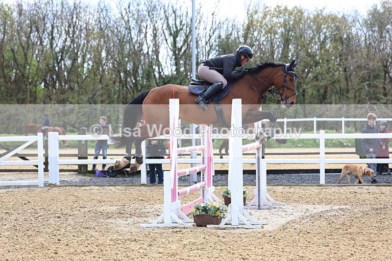 3E7A2029 - Class 8: Senior Foxhunter/1.20 open