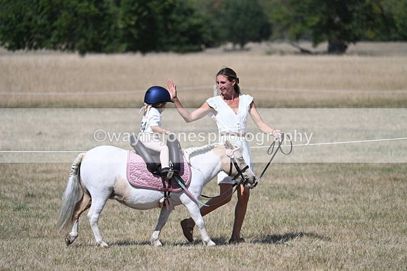 WJ7_1241 - Class 41 Prettiest Mare