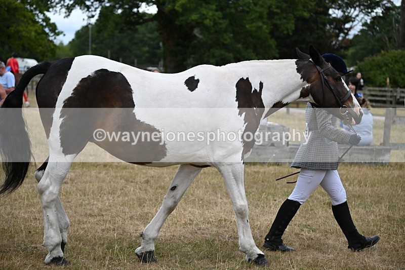 WJ6_8273 - Class 10 Coloured in Hand