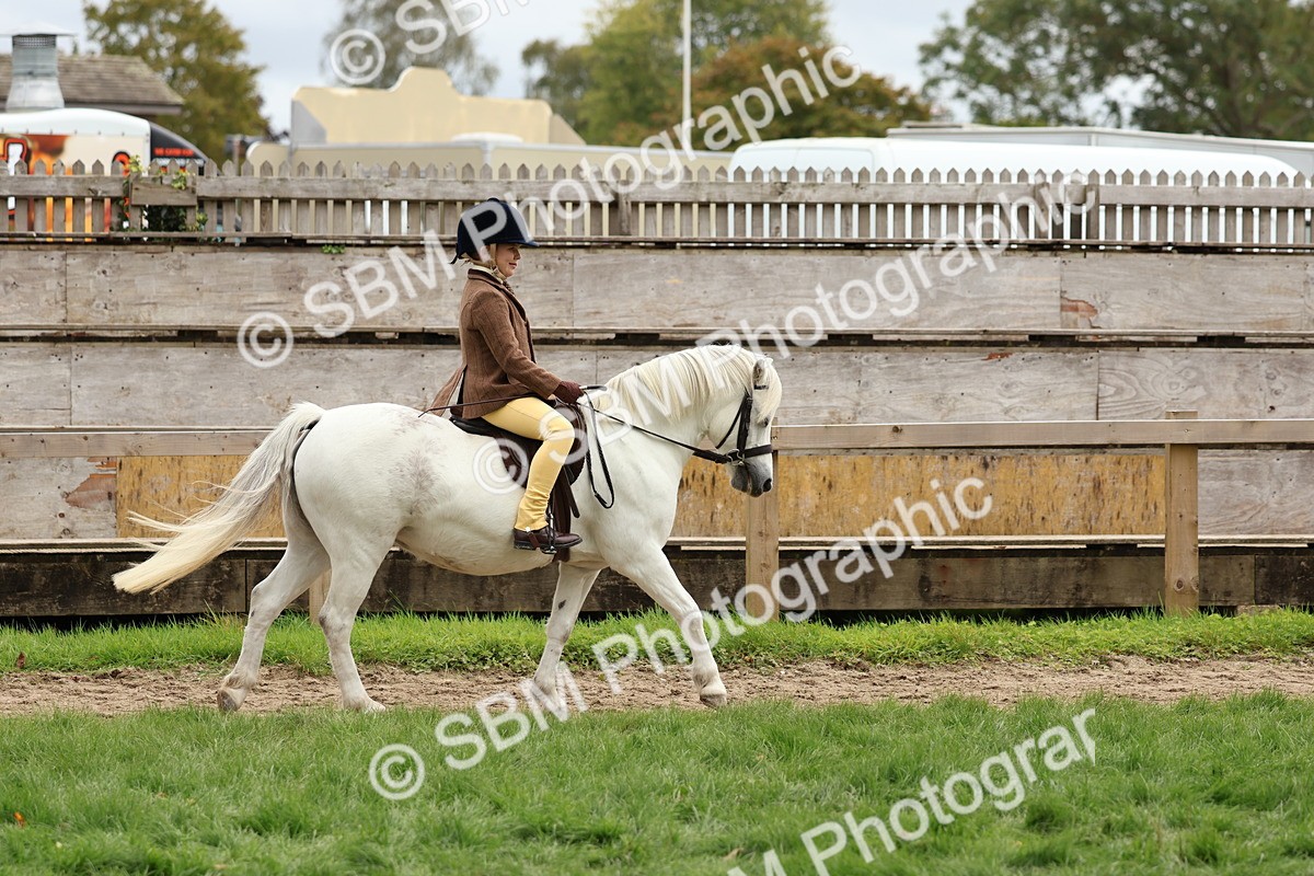 SBM_67354 - S61 - Mountain & Moorland Ridden