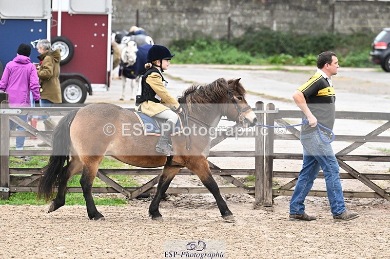 251109A-093825-00286 - Cls 01 40cm SJ LR