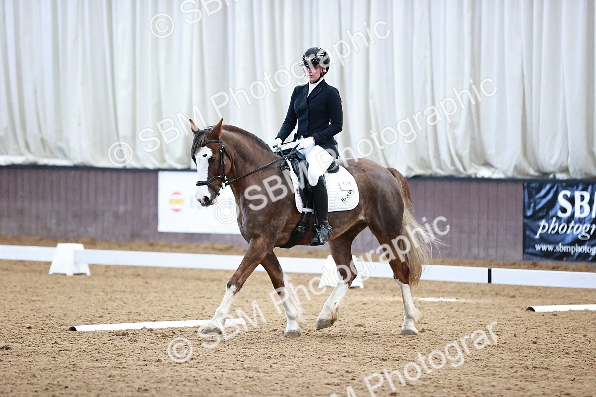 SBM_000150 - Class 3, 4, 8, 10 Intro 3 Prelim 3 Novice 2