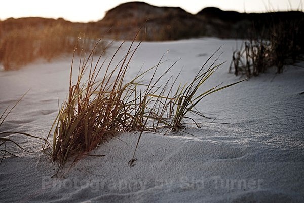  - Beaches