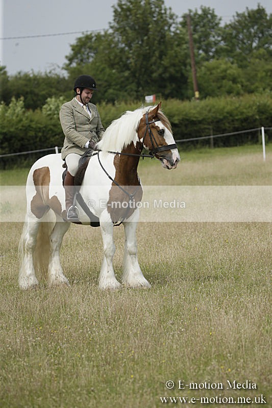 B230619-0456 - Bourne Valley Riding Club Summer Show 23/06/19