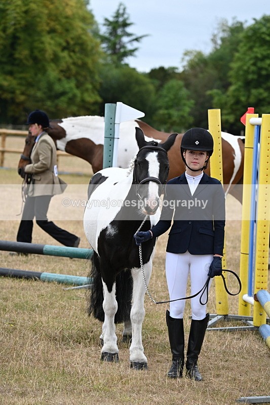 WJ6_8182 - Class 10 Coloured in Hand