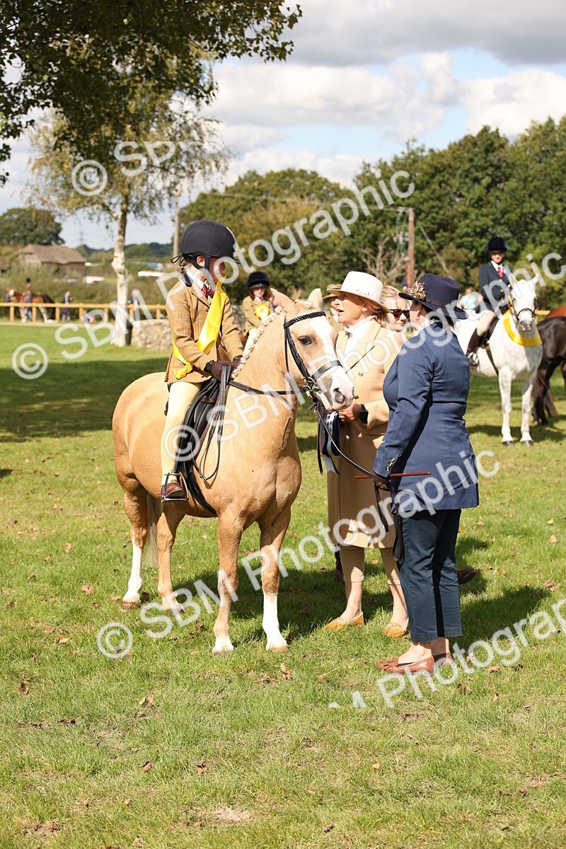 SBM_40923 - Fun Showing Supreme Championship