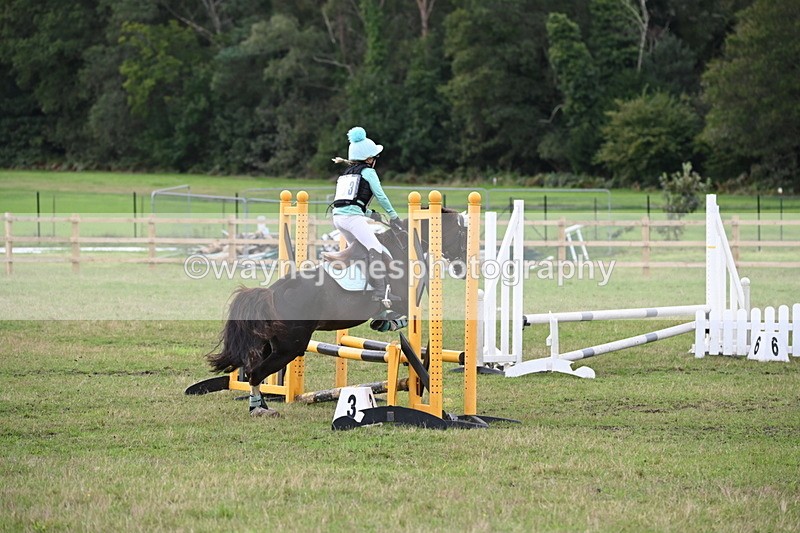 WJ6_1417 - 60cm Time 11:51 to 12:10