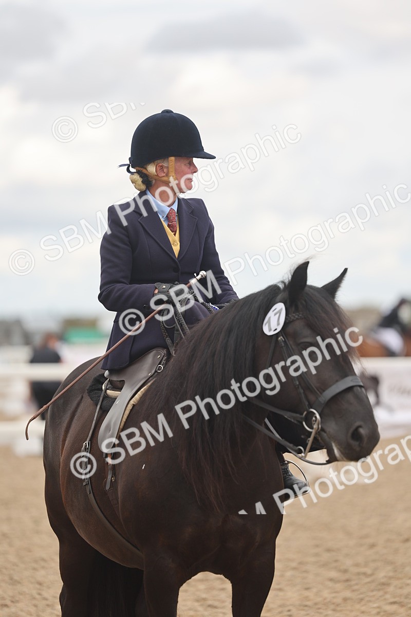 SBM_06388 - Class 22 - SSA - Equitation