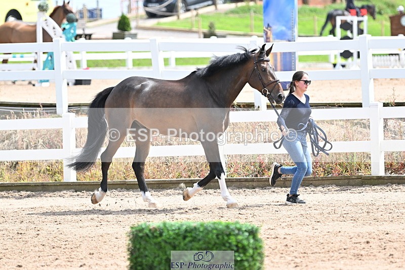 240717A-144642-02285 - Trot Up 2pm to 3pm - This folder is not in time order