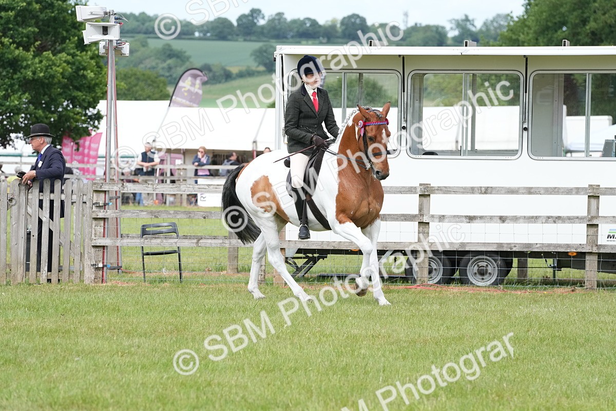 SBM_17597 - Class 107-108 - LIHS BSPS Performance Coloured Horse Pony