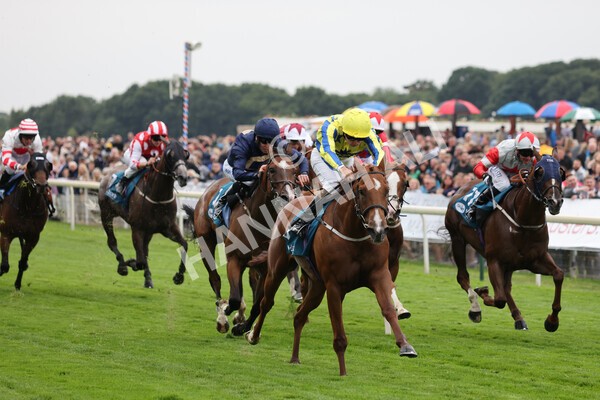 yr22072022r3-48 - Race 3 6.20pm Tomahawk Stakes