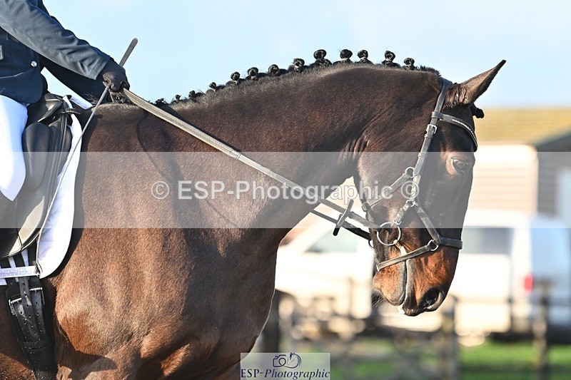 231105-153228-03041 - Cls 4 Novice 24 15.24 to 16.35 break