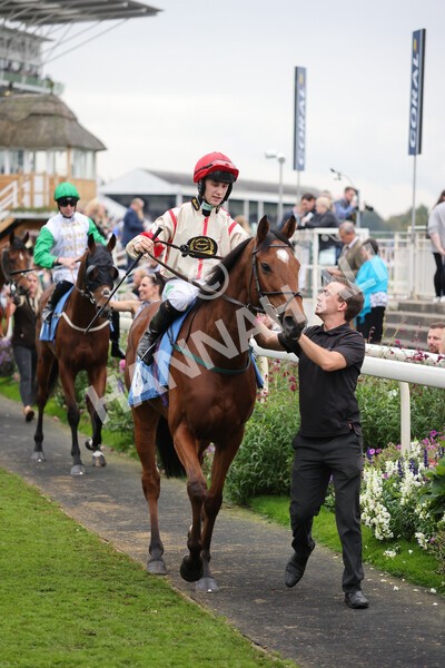 yr09102021r7-7 - Race 7 5.00pm Coral Proud Sponsors Of British Racing Finale Handicap