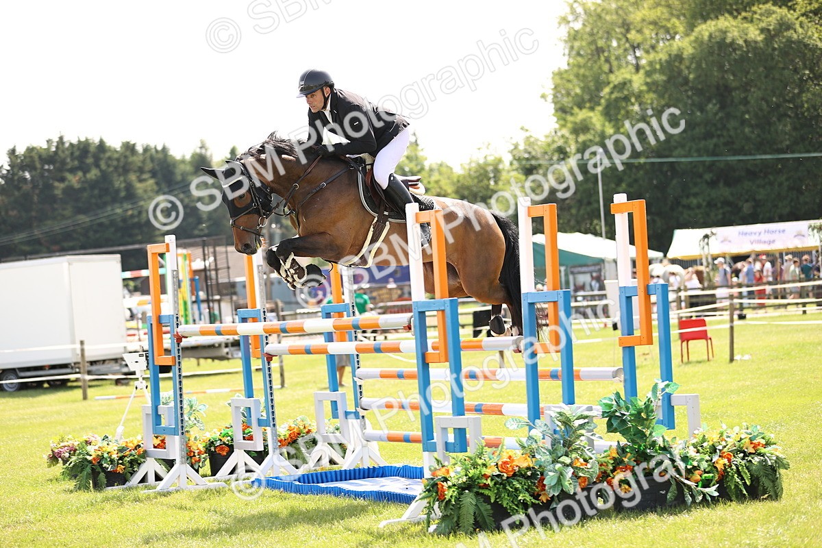 SBM_03267 - Class 201 - British Horse Feedds Speedi Beet HOYS Grade C