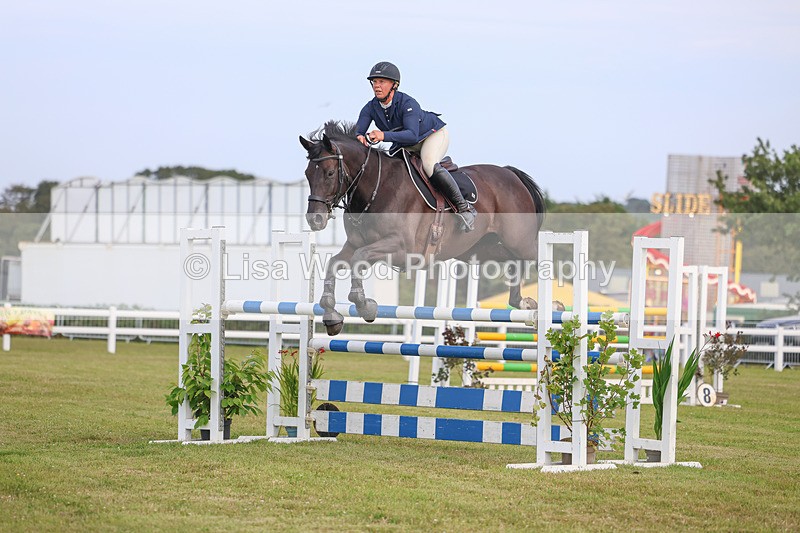 3E7A0830 - Class C: Showjumping Senior Foxhunter