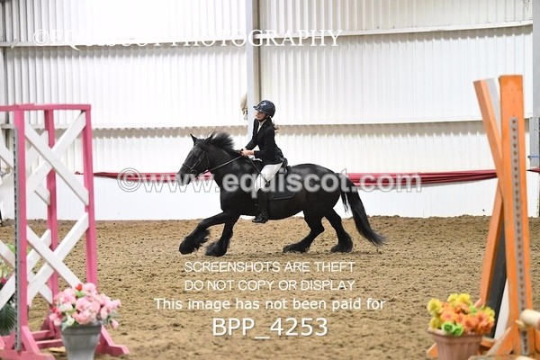 BPP_4253 - 40CM