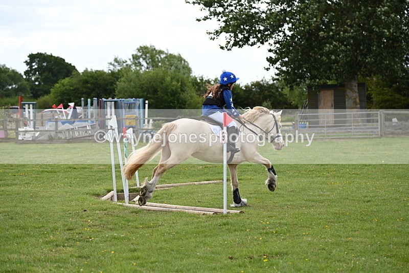 WJ6_2672 - Class 2 40cm