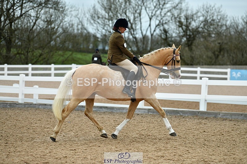 230416A-134322-04926 - Cls 60 Ridden Show Horse