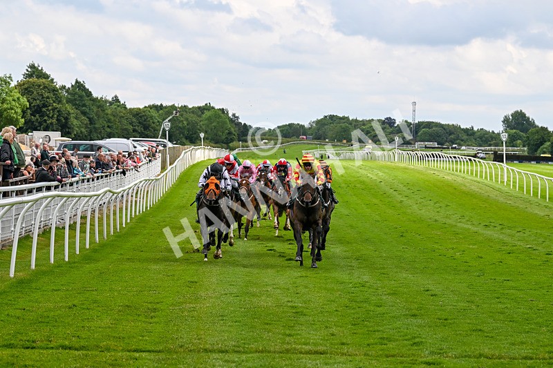 180624-Race 3-High Opinion-0295 - Race 3