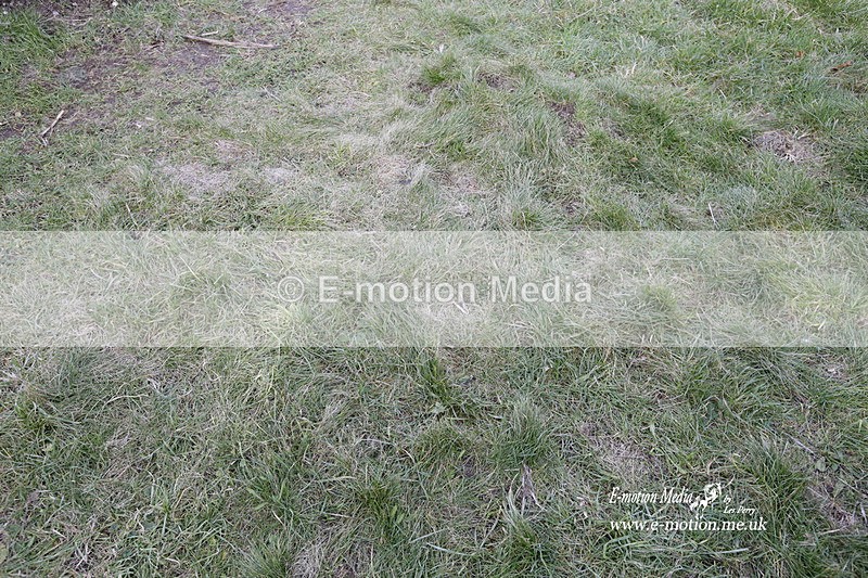 PtP 290123 0888 - Combined Services Point-to-Point  Presentations 05/02/23