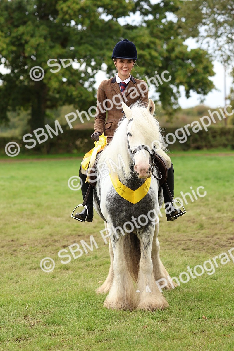 SBM_64662 - S58 - Coloured Pony Ridden