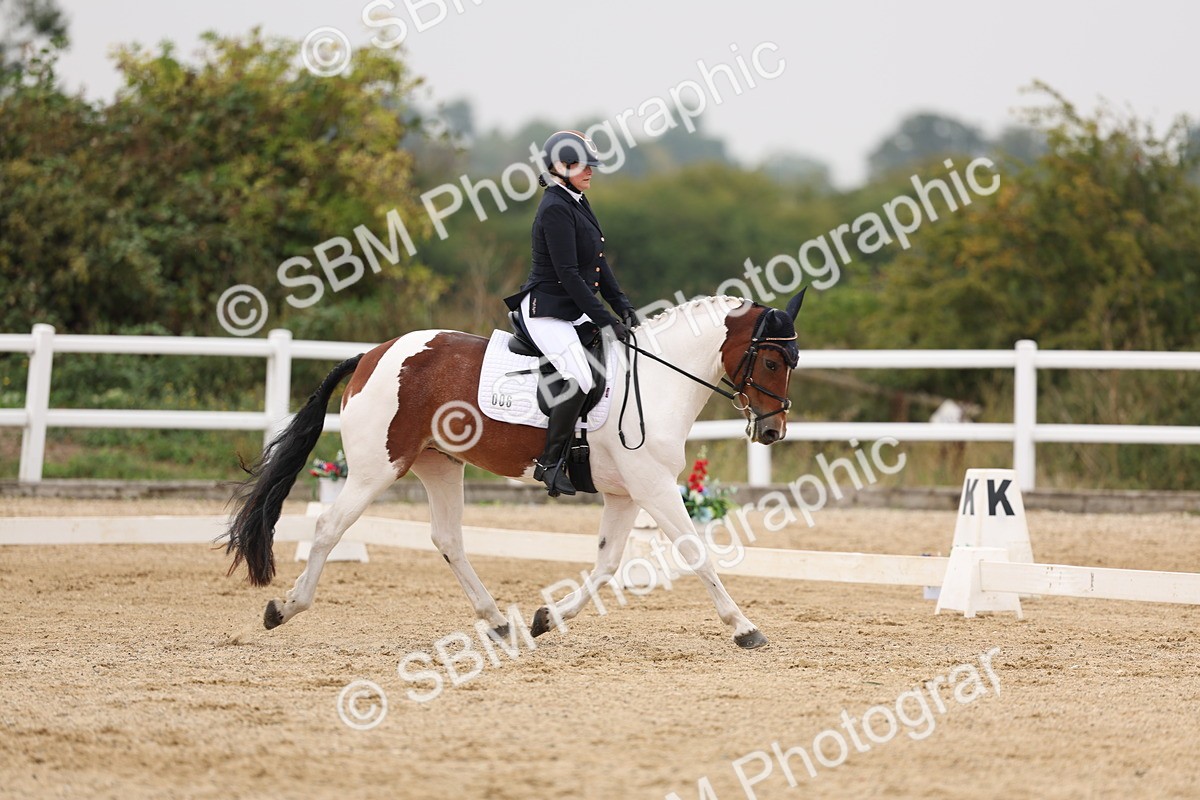 SBM_01491 - Class 9 - Novice 27 Champs