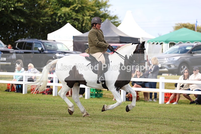 3E7A9707 - Class 5: Rising Star Lightweight/Heavyweight Cobs