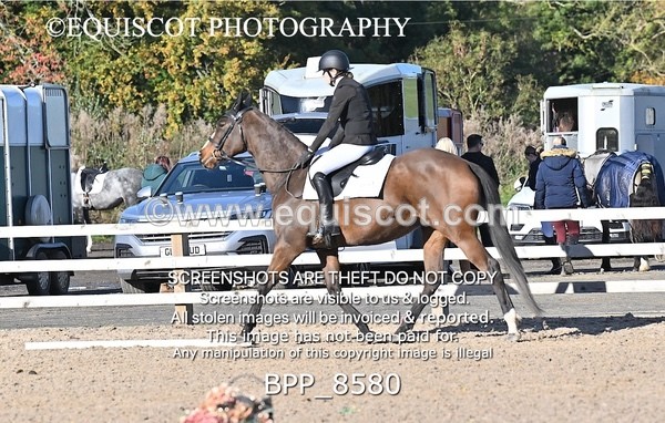 BPP_8580 - SHORT ARENA INTRO 3
