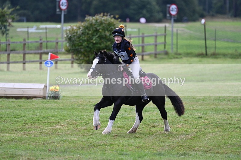 WJ7_8019 - 40cm Time 10:49 to 11:18