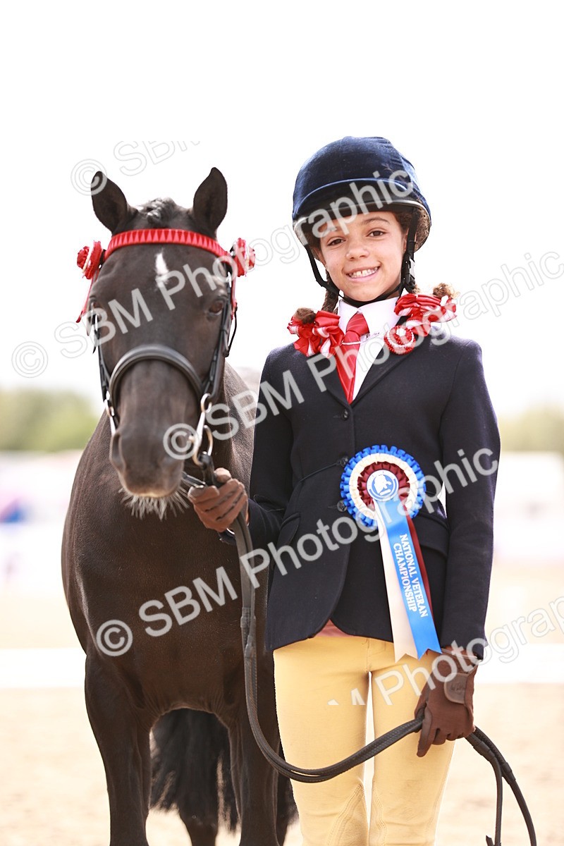 SBM_18339 - Class 417 - Handsome Gelding (IH or Ridden - JNR)