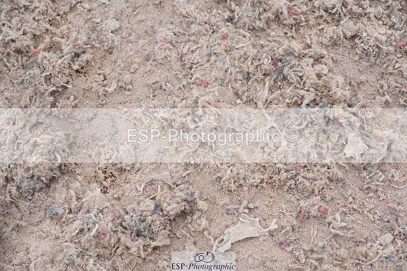 250607-124330-00972 - Cls 31+33 Club and Schools 1m