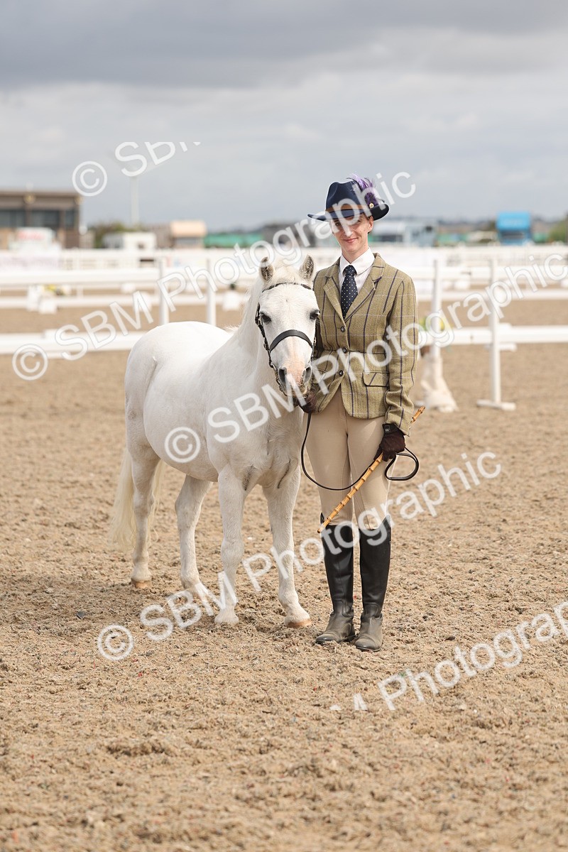 SBM_04561 - Class 19 - Horse/Pony Judge would most like to take home