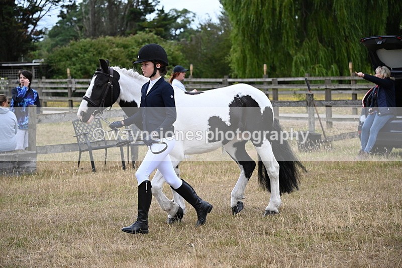 WJ6_8097 - Class 10 Coloured in Hand