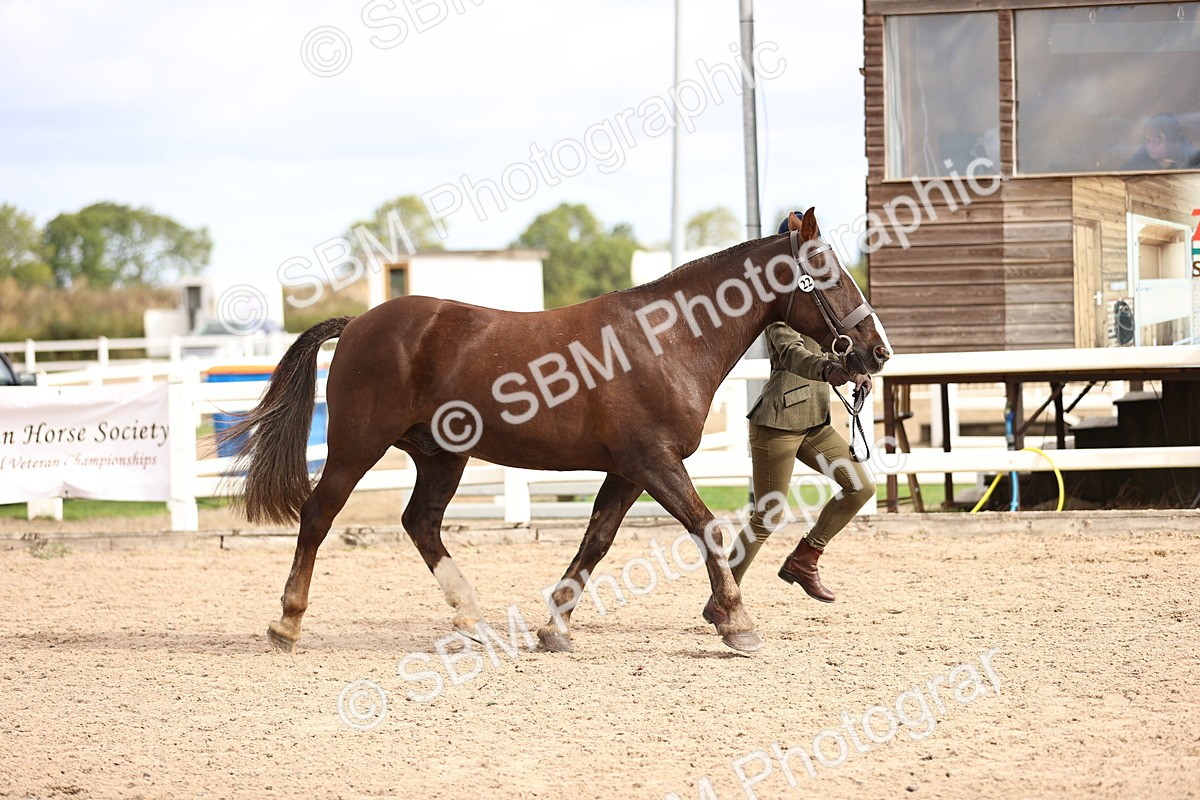 SBM_10369 - Class 405 - IH Show Cob
