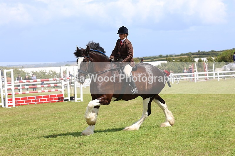 3E7A2900 - Class 13: Heavy Horse Ridden