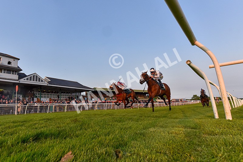 310524-Race 5-Dusk Dame-7633 - Race 5