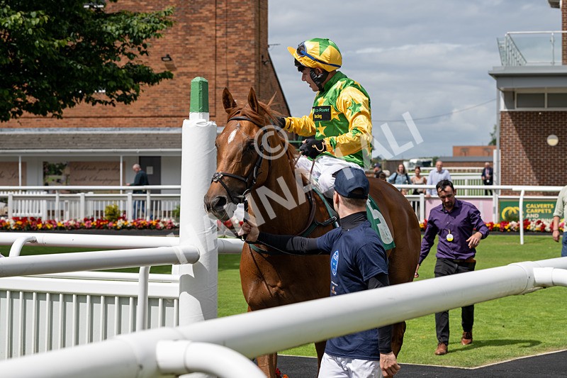 260724-Graham Lee Stable Staff Stakes-3461 - Graham Lee Stable Staff Stakes