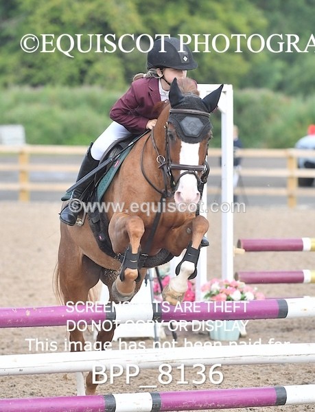 BPP_8136 - CLASS 11 SUN  Club/ Unaffiliated 60cms Open